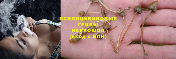 первитин Лабытнанги