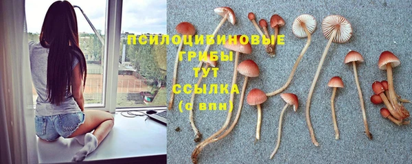 первитин Лабытнанги