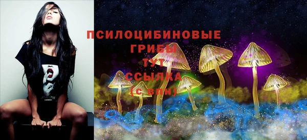 круглые Лагань