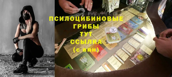 первитин Лабытнанги