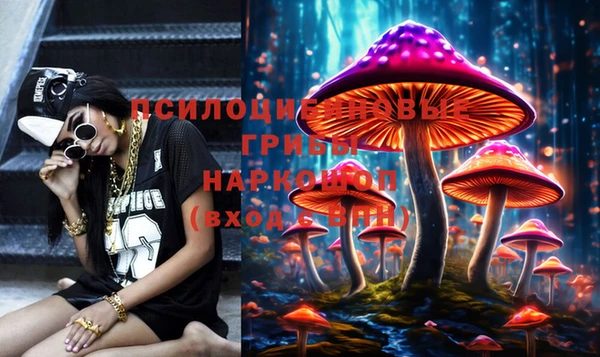 не бодяженный Ладушкин