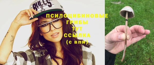 первитин Лабытнанги