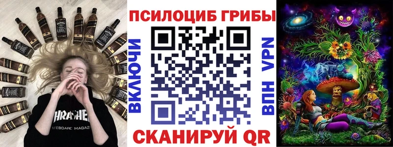 Псилоцибиновые грибы Psilocybine cubensis  мега вход  Чаплыгин  где купить наркоту 